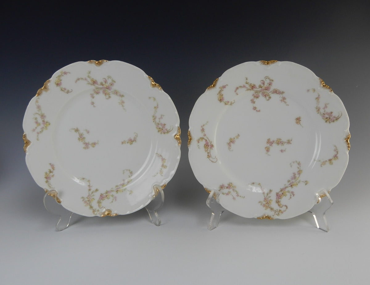 Set of 2 Pc. Haviland Limoges Norma Schleiger #233A Norma Luncheon Plates 8-1/2"