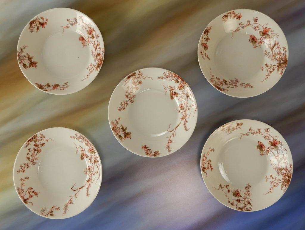 Set of 5 Antique Haviland Limoges J. McD. & S. Co~ Fruit Bowls