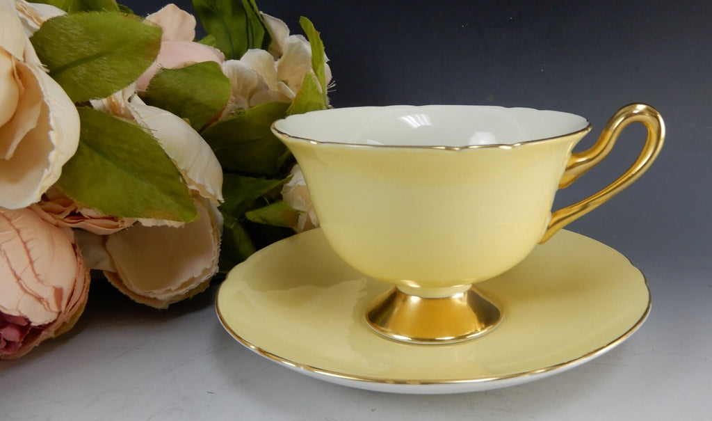 Shelley "Fruit Orchard" Center Yellow Cup & Saucer 13770 English Fine Bone China