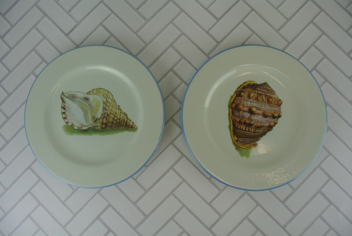Set of 2 Sea Shell Dinnerware Two Plates, Two Mugs Made in Italy "A"