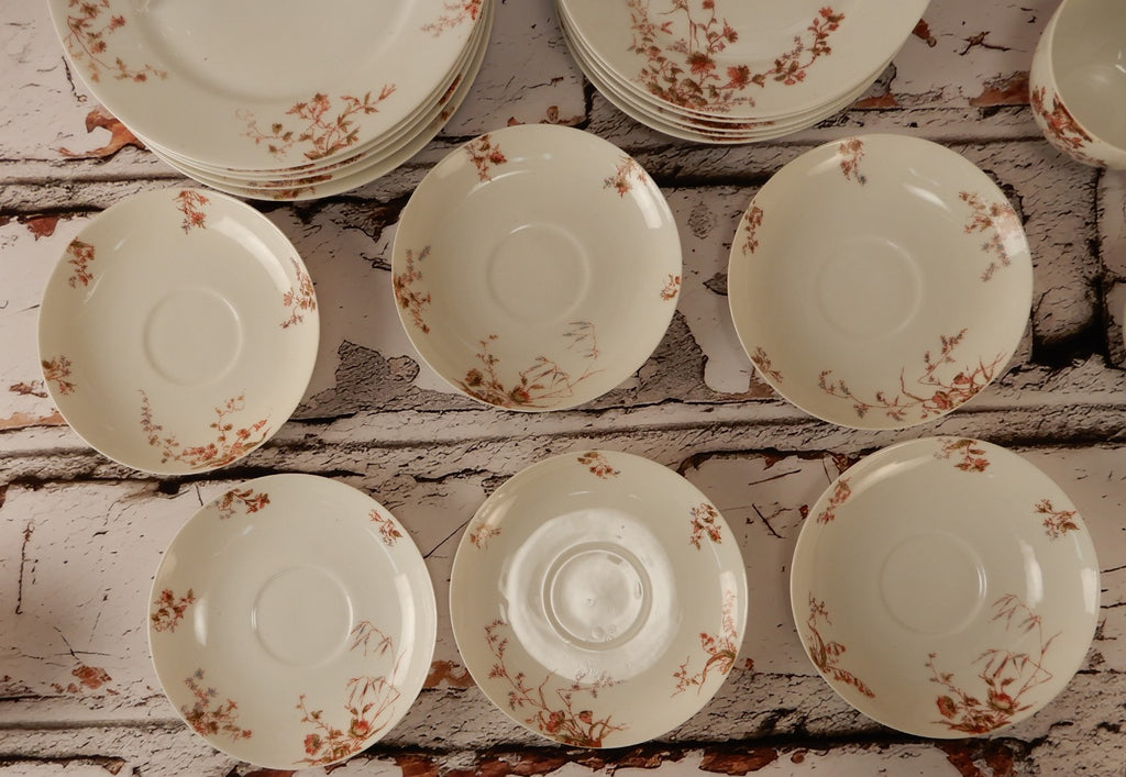 Antique Haviland Limoges J. McD. & S. Co~ 24 Piece Set ~ Service for 6