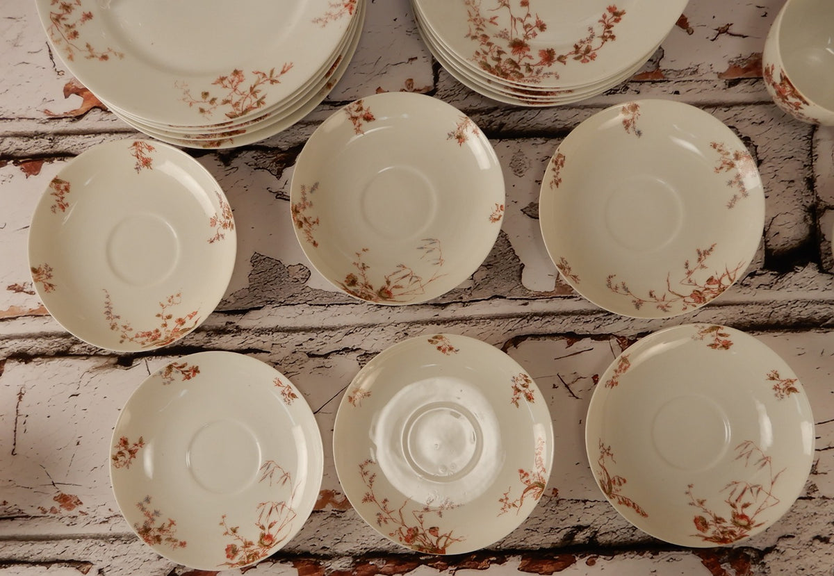 Antique Haviland Limoges J. McD. & S. Co~ 24 Piece Set ~ Service for 6