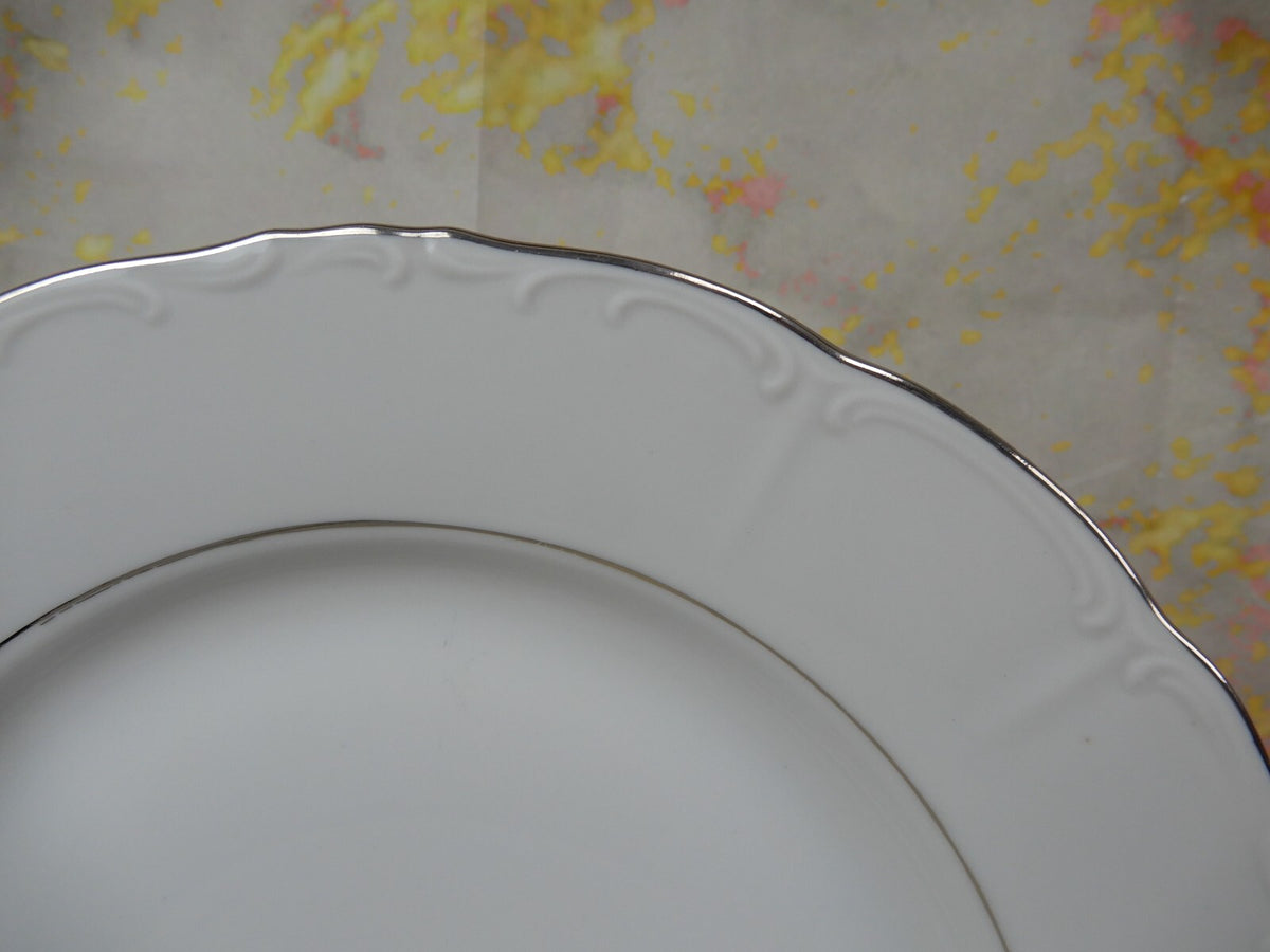 Vintage 24 Piece Fine Bohemian China Czechoslovakia "Contesa"~ 4 Place Setting
