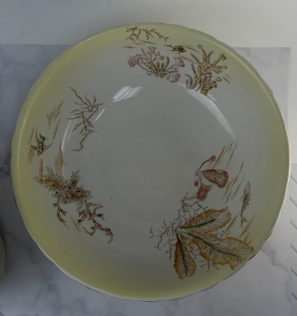Antique Alba China Bona Fama Melior Ironstone Pottery Wash Bowl and Pitcher Set