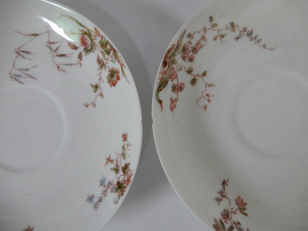 Antique Haviland Limoges J. McD. & S. Co~ 24 Piece Set ~ Service for 6