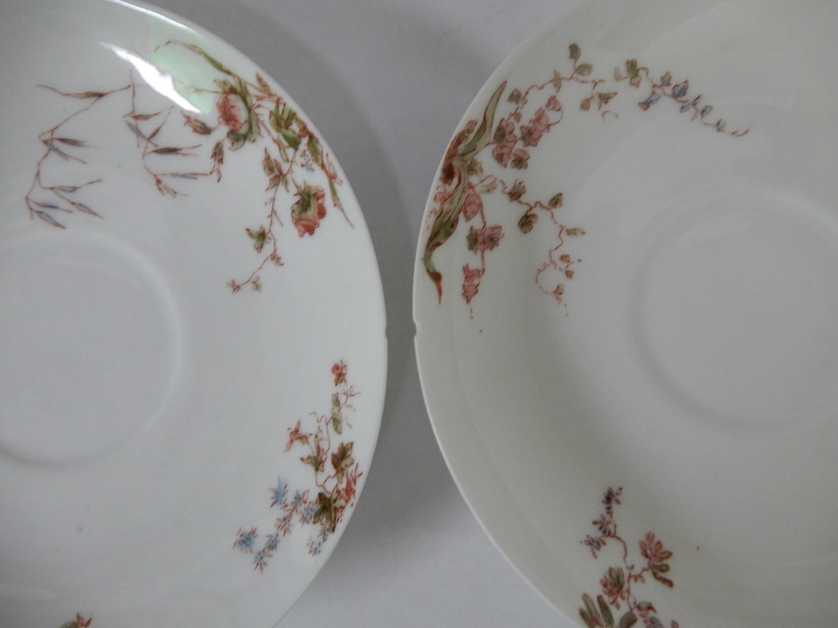 Antique Haviland Limoges J. McD. & S. Co~ 24 Piece Set ~ Service for 6