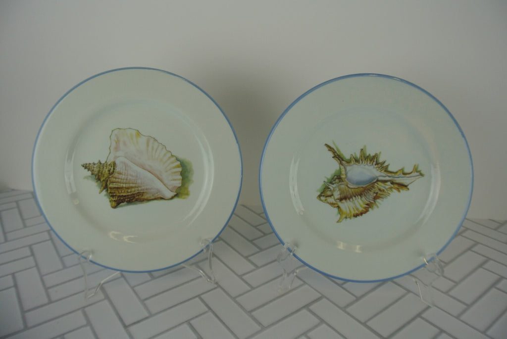 Set of 2 Sea Shell Dinnerware Two Plates, Two Mugs Made in Italy "B"