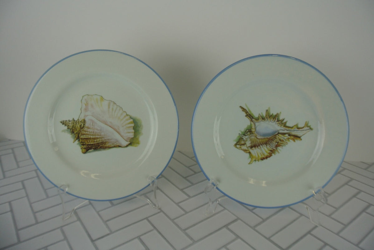 Set of 2 Sea Shell Dinnerware Two Plates, Two Mugs Made in Italy "B"
