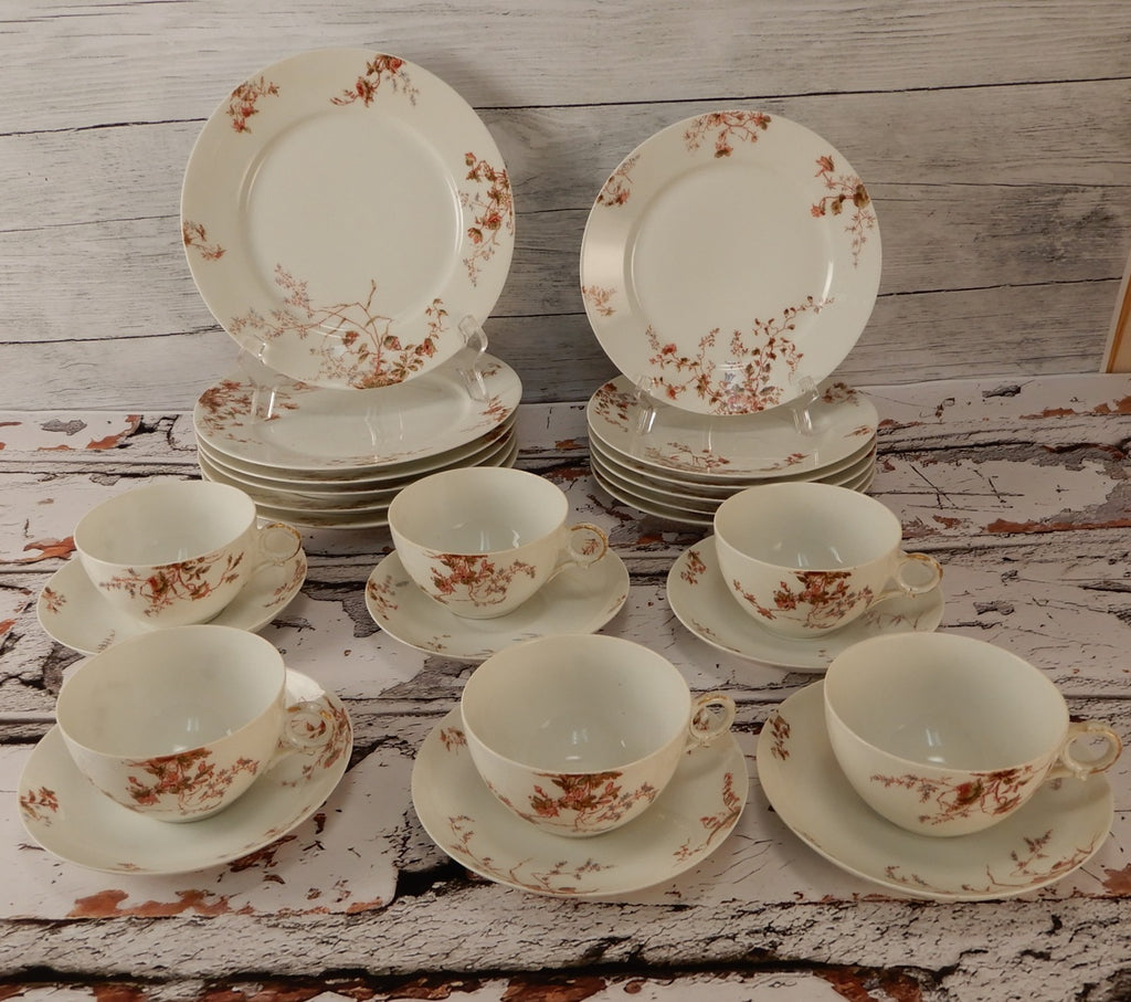 Antique Haviland Limoges J. McD. & S. Co~ 24 Piece Set ~ Service for 6
