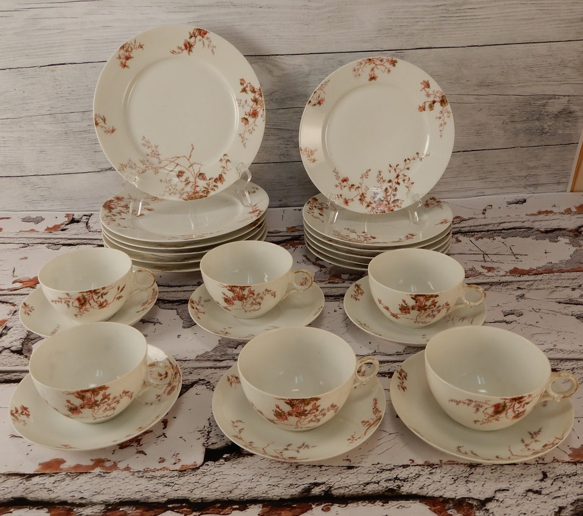 Antique Haviland Limoges J. McD. & S. Co~ 24 Piece Set ~ Service for 6