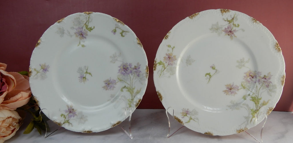 Vintage Theodore Haviland Limoges Porcelain Set of Two 8" Salad Plates