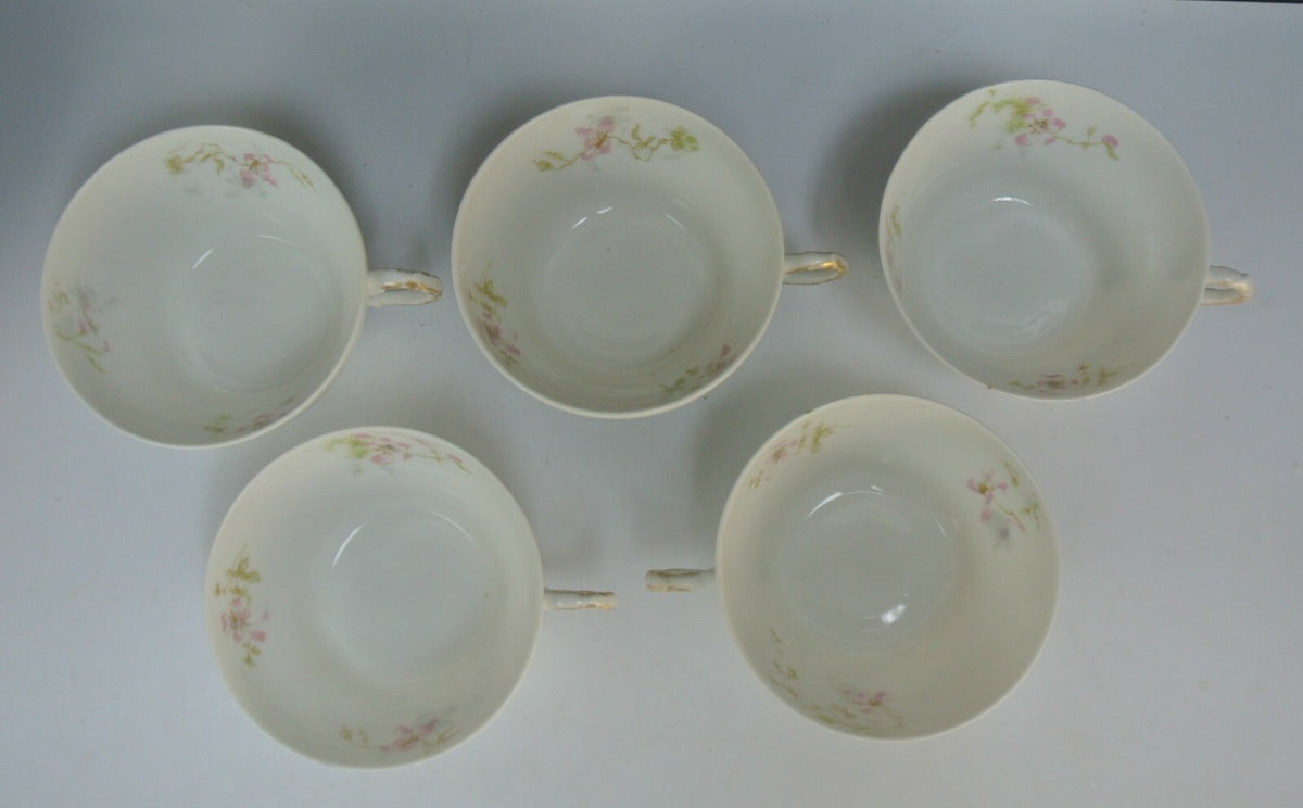Theodore Haviland Limoges France Set of 5~ Cups No Saucers