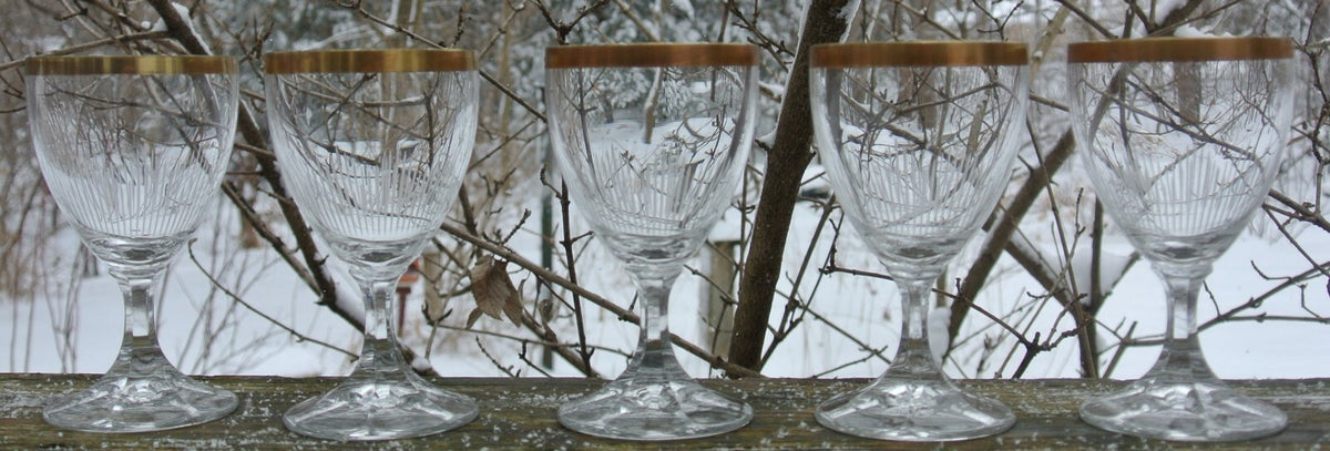 Set of 5 Elegant Cordial Clear Etched with Gold Rim Glasses