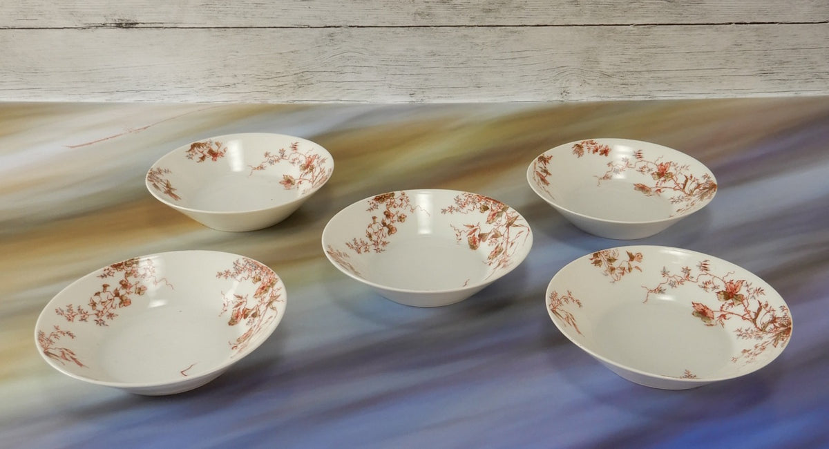 Set of 5 Antique Haviland Limoges J. McD. & S. Co~ Fruit Bowls