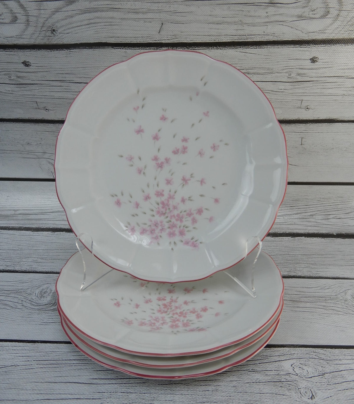 Set of 6 Schumann Arzberg Germany Bavaria Pink Floral Pink Rim Salad Plates