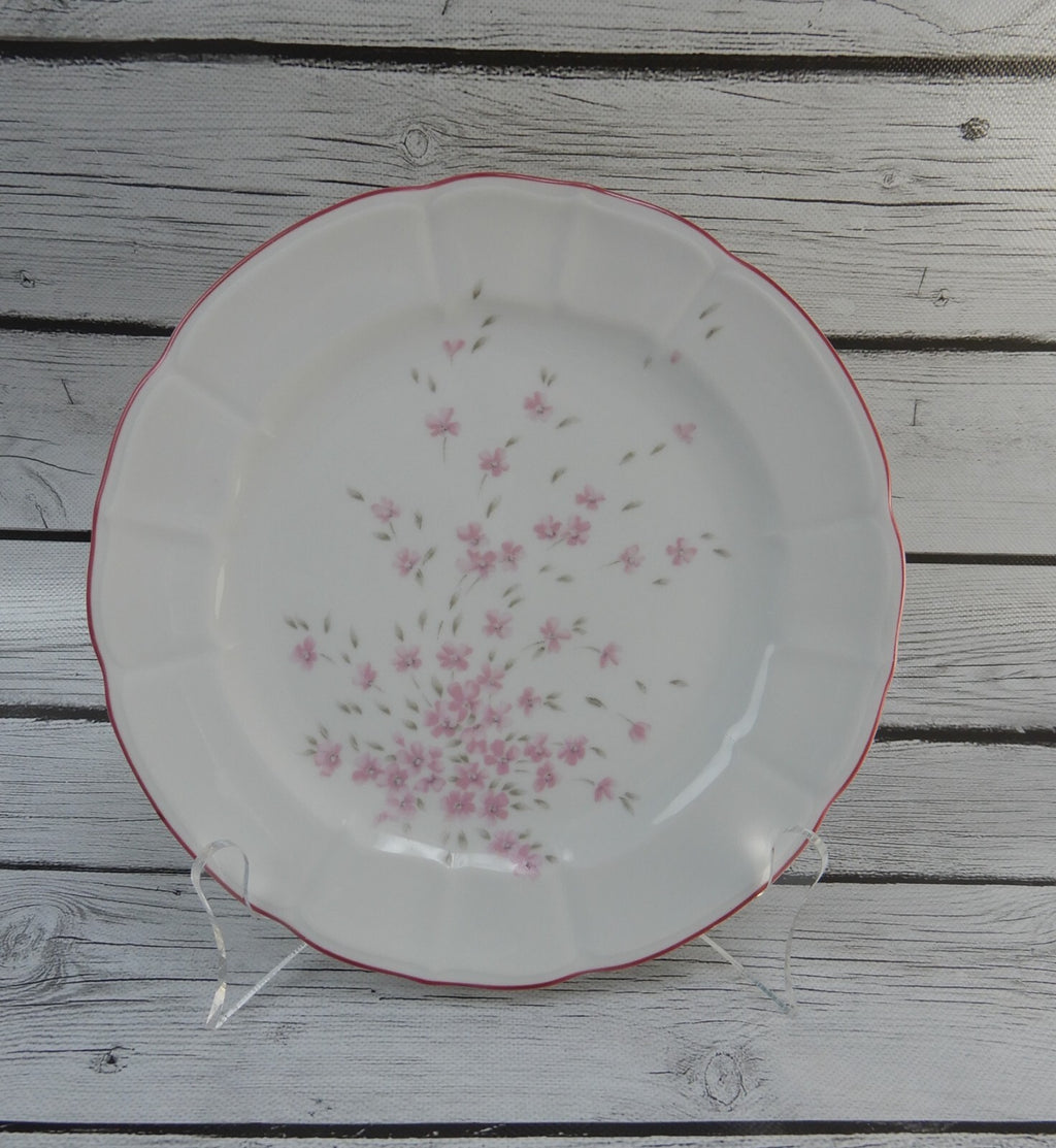 Set of 6 Schumann Arzberg Germany Bavaria Pink Floral Pink Rim Salad Plates