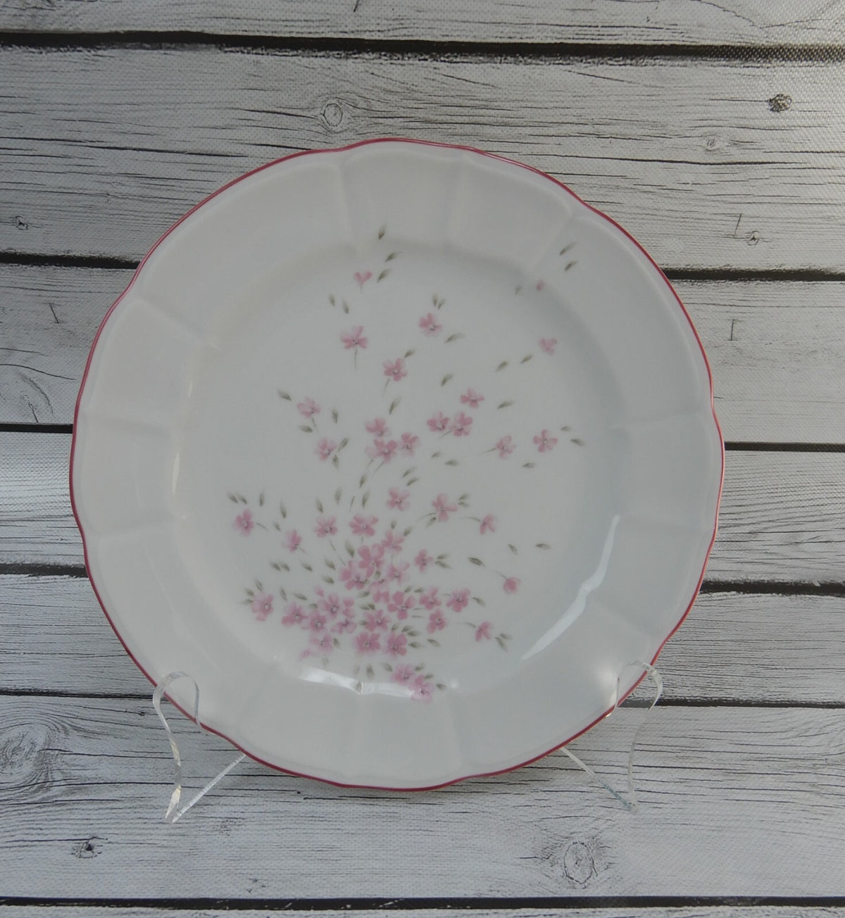 Set of 6 Schumann Arzberg Germany Bavaria Pink Floral Pink Rim Salad Plates