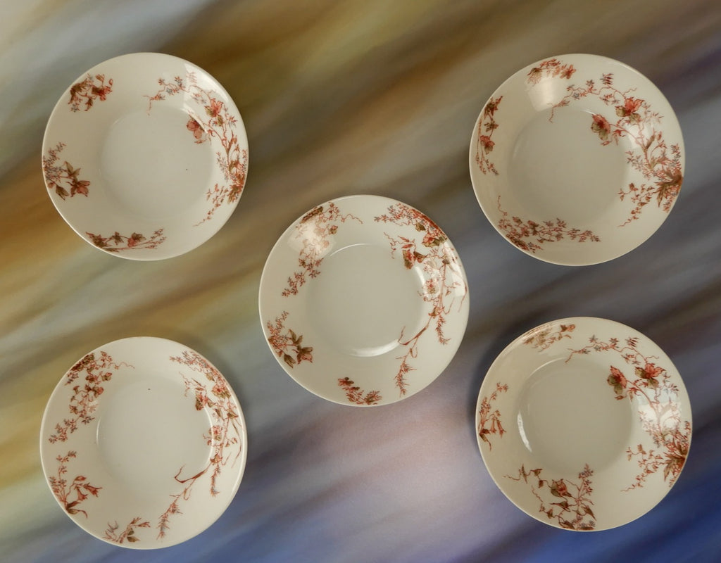 Set of 5 Antique Haviland Limoges J. McD. & S. Co~ Fruit Bowls