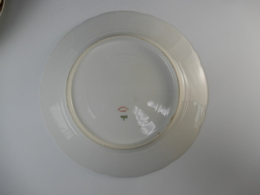 5 Pc.Antique Haviland Limoges France with Carnation Flowers 9-1/2" Dinner Plates