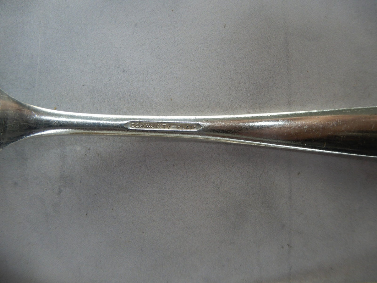 4Pc. "Bird Of Paradise" Onieda Community Serving Spoons 8-3/8" Silverplate
