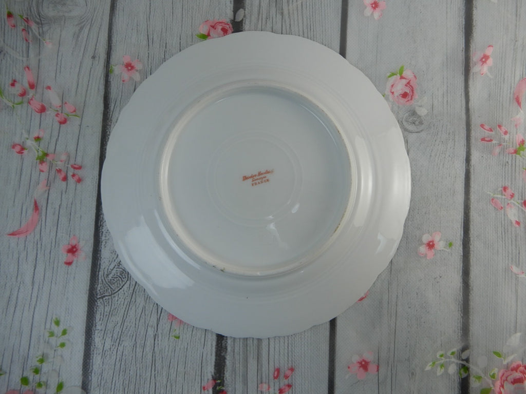 12 Piece Antique Theodore Haviland Limoges Schleiger 145 with Chips
