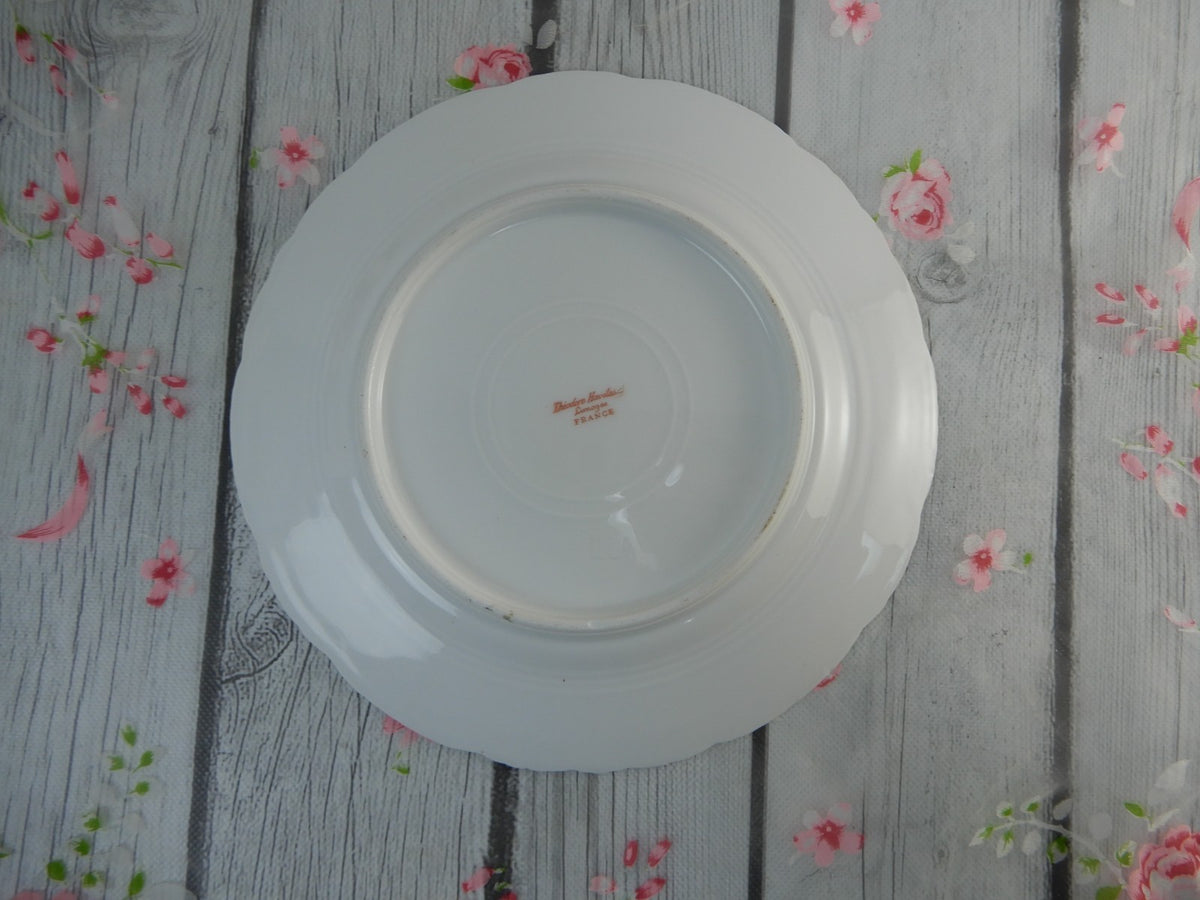 12 Piece Antique Theodore Haviland Limoges Schleiger 145 with Chips
