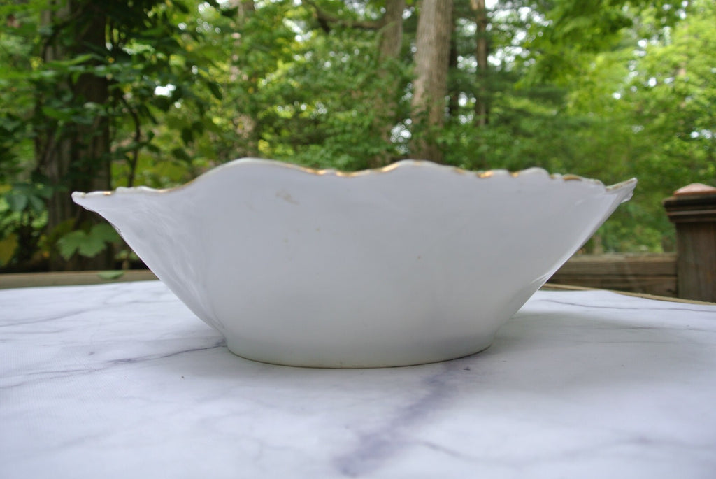 Antique Unmarked RS Prussia Chrysanthemums Porcelain "Bowl" 11" Wide