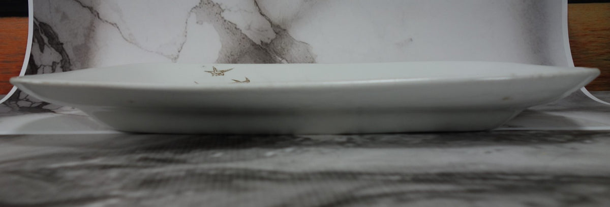 Antique Royal Ironstone China Alfred Meakin, England 15-3/4" Platter