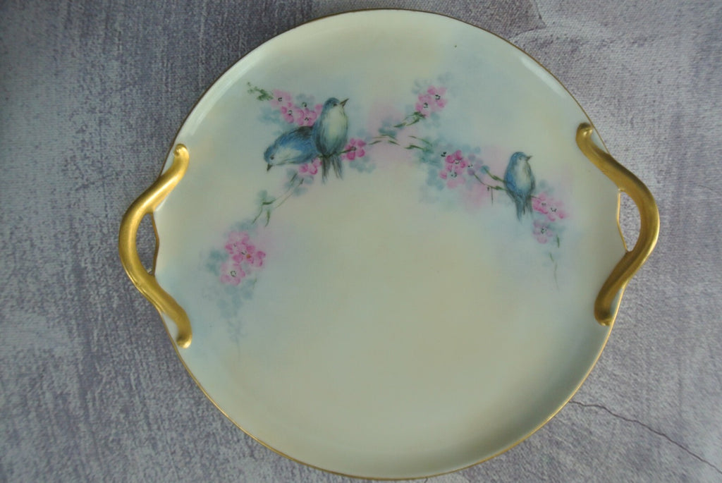Vintage RS Reinhold Schlegelmilch Germany Small Handpainted Decorative Plate