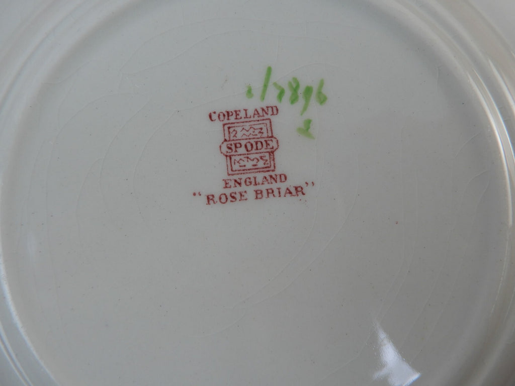 Set of 5 Piece Copeland Spode "Rose Briar" With Chips and Flaws Made In England
