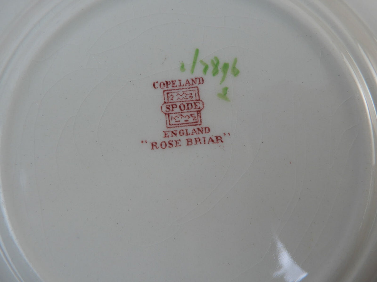Set of 5 Piece Copeland Spode "Rose Briar" With Chips and Flaws Made In England