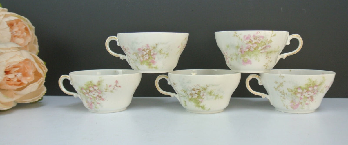 Theodore Haviland Limoges France Set of 5~ Cups No Saucers