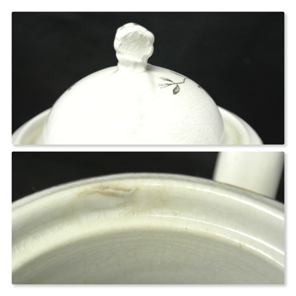 Antique Etruria Pottery (Ott & Brewer) of Trenton, N.J Coffee/Tea Pot