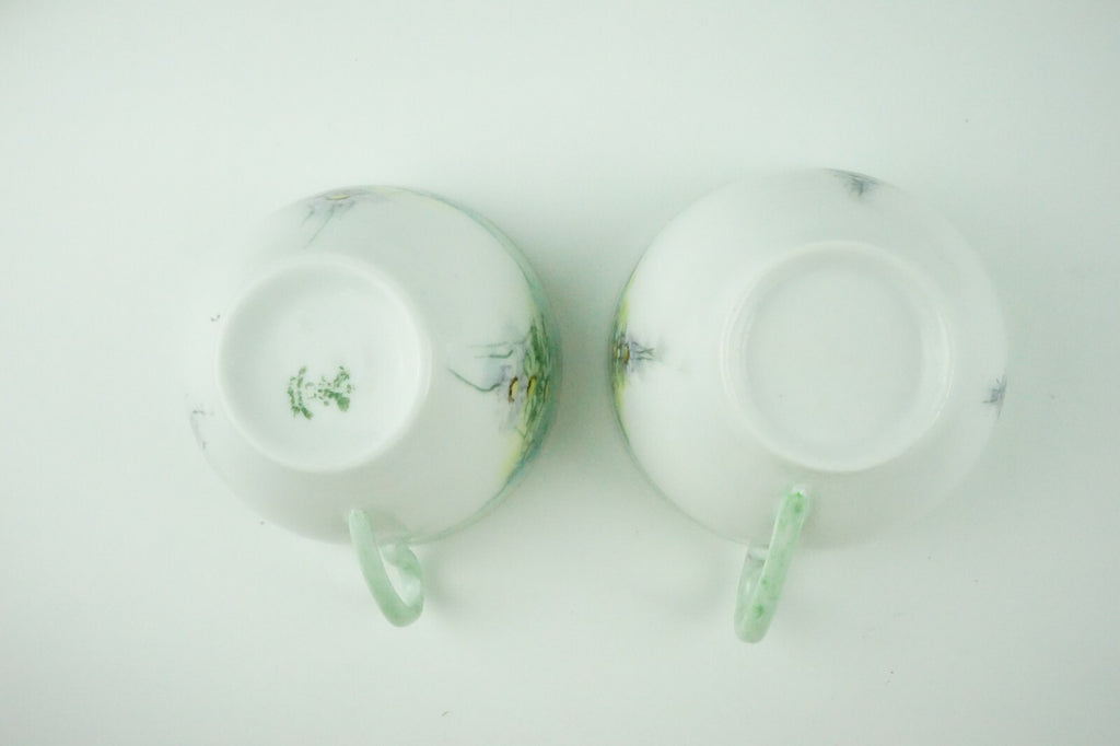 C. Tielsch Altwasser Silesia  Set of Two Vintage Light Green Floral Tea Cups
