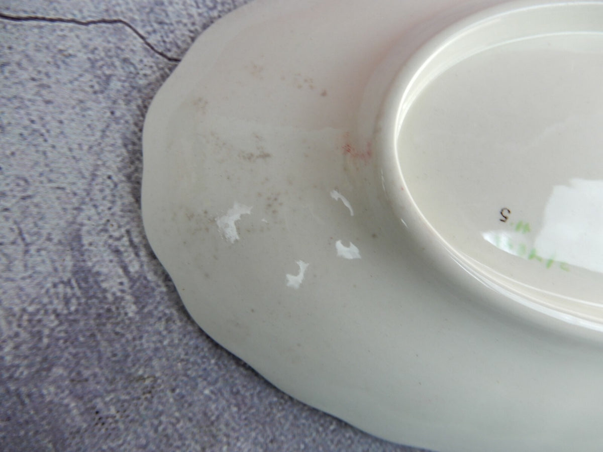 Vintage Copeland Spode Rose Briar Pattern Relish Dish Made In England