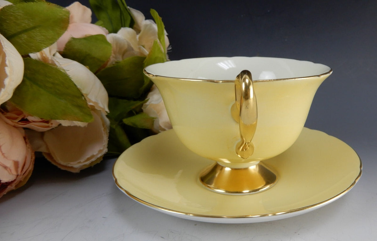 Shelley "Fruit Orchard" Center Yellow Cup & Saucer 13770 English Fine Bone China