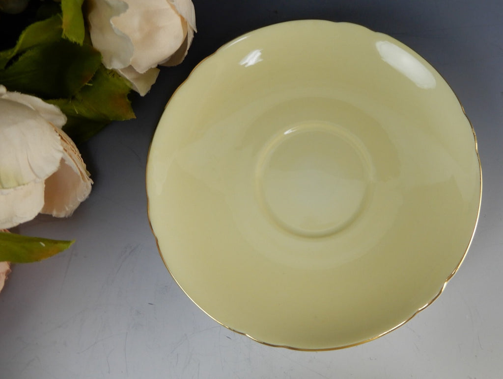 Shelley "Fruit Orchard" Center Yellow Cup & Saucer 13770 English Fine Bone China