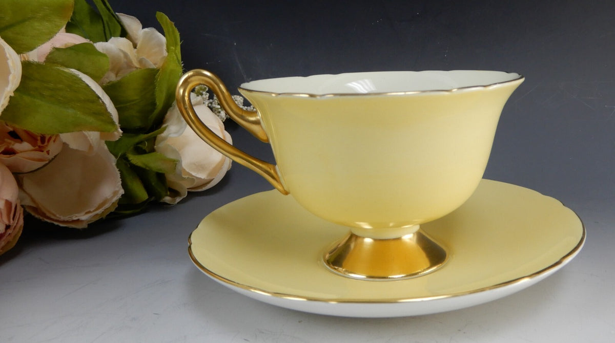 Shelley "Fruit Orchard" Center Yellow Cup & Saucer 13770 English Fine Bone China