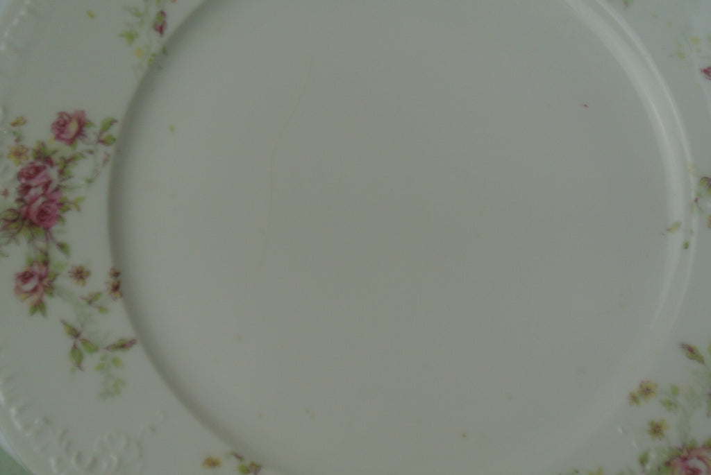 30 Piece Vintage Carlsbad Austria  Set Piece 5 Place Setting