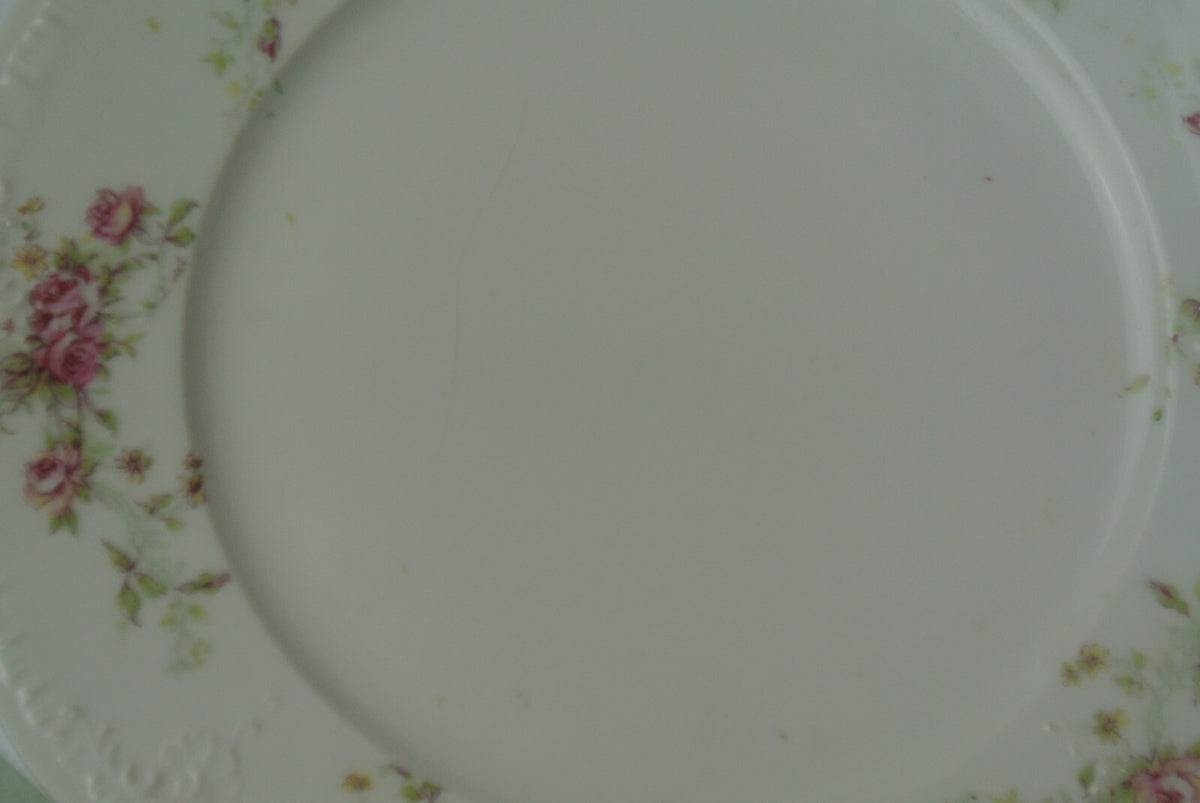 30 Piece Vintage Carlsbad Austria  Set Piece 5 Place Setting