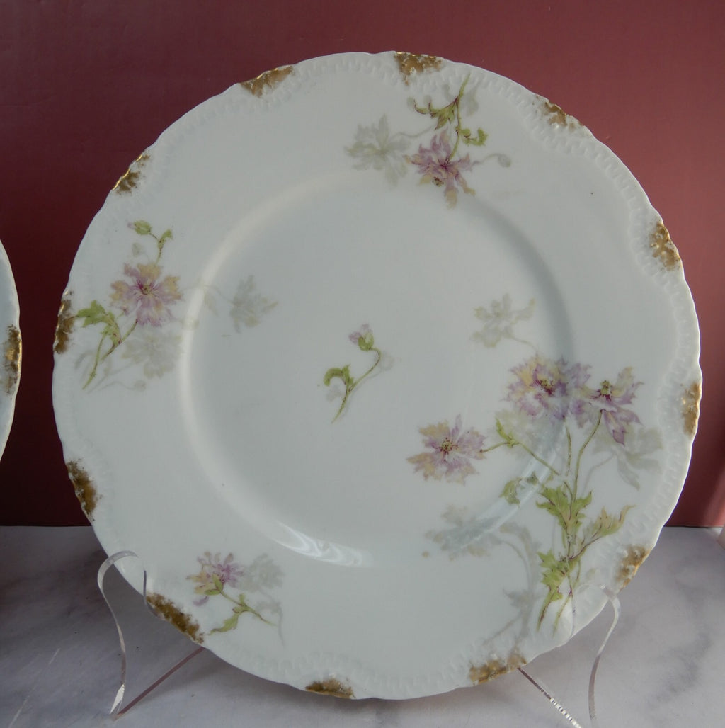 Vintage Theodore Haviland Limoges Porcelain Set of Two 8" Salad Plates