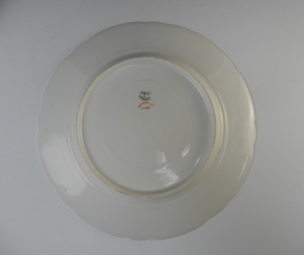 Antique Haviland Limoges France with Carnation Flowers 8-1/2" Luncheon Plates