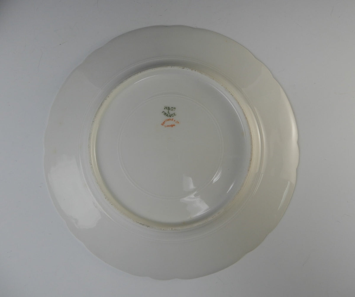 Antique Haviland Limoges France with Carnation Flowers 8-1/2" Luncheon Plates
