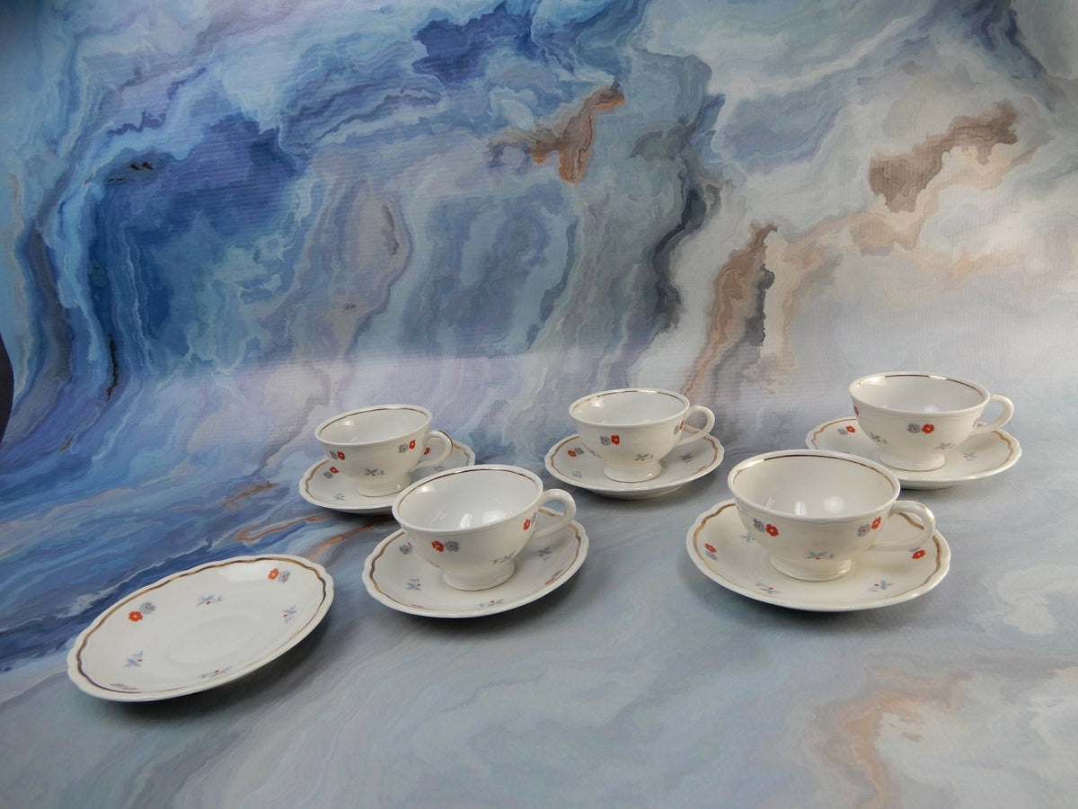 Richard Ginori Demitasse Cups and Saucers Set: Floral Italian Decor