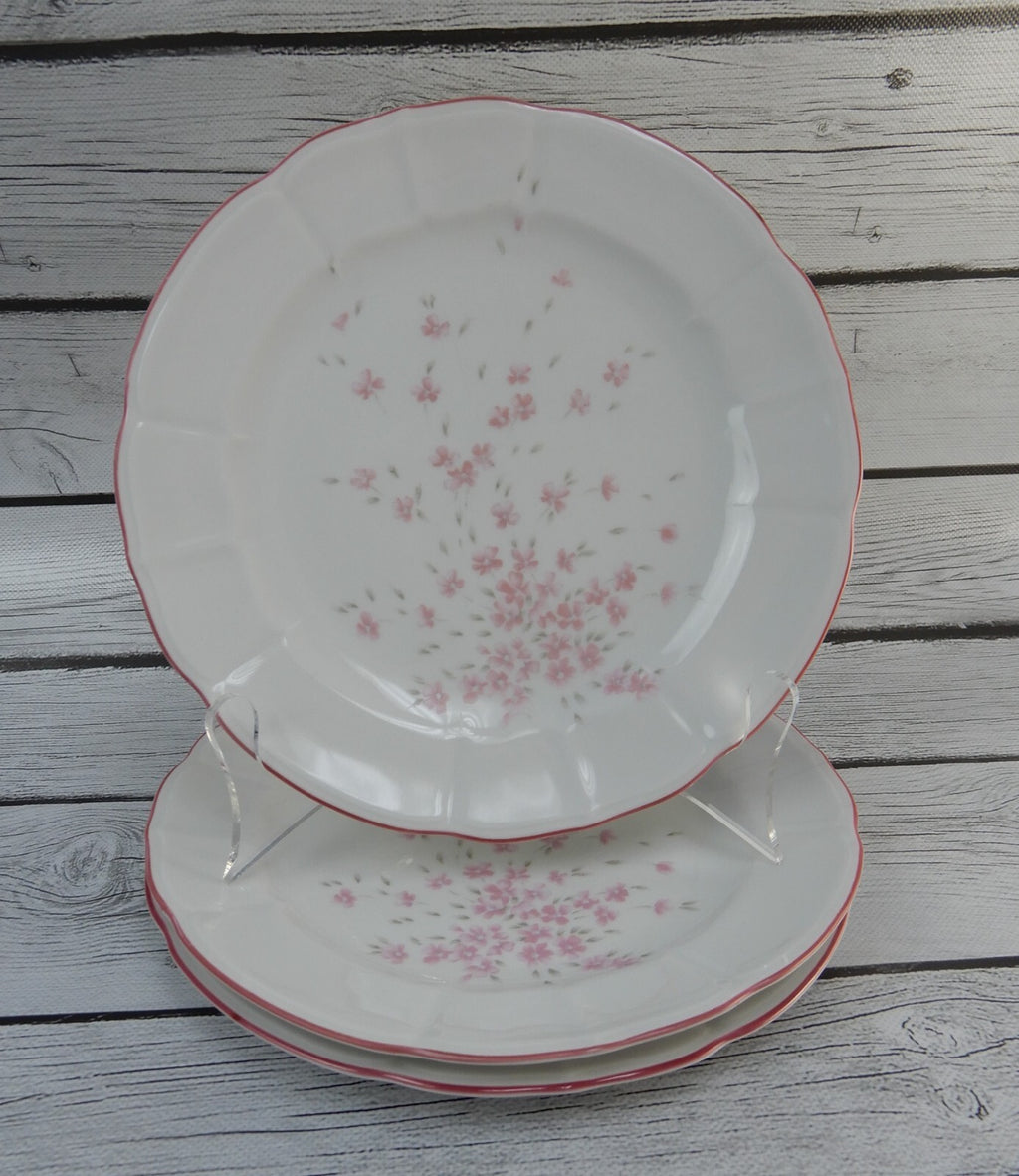Set of 6 Schumann Arzberg Germany Bavaria Pink Floral Pink Rim Salad Plates