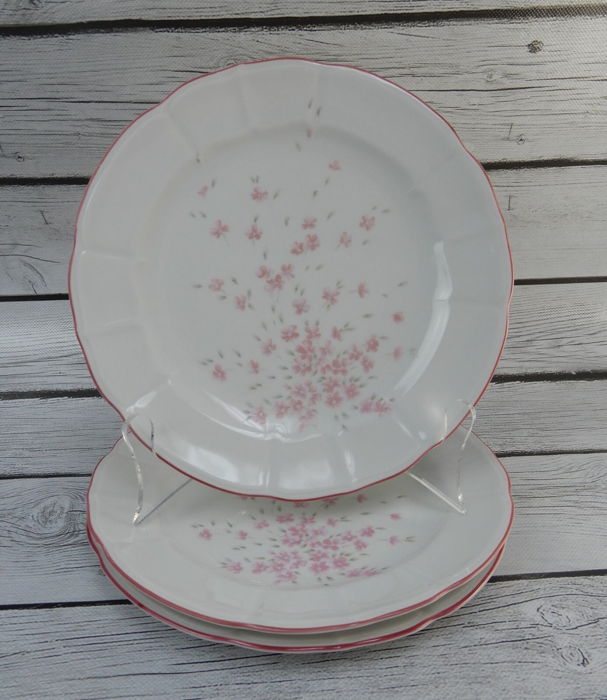Set of 6 Schumann Arzberg Germany Bavaria Pink Floral Pink Rim Salad Plates