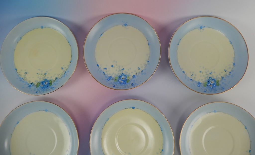 6 Pc.Set J&C Bavaria Stouffer Hand Decorated Blue Forget Me Not Cups and Saucers