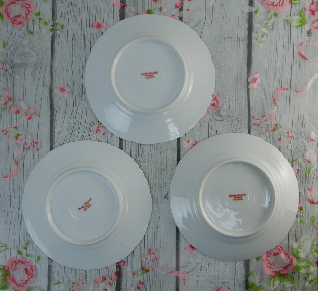 12 Piece Antique Theodore Haviland Limoges Schleiger 145 with Chips