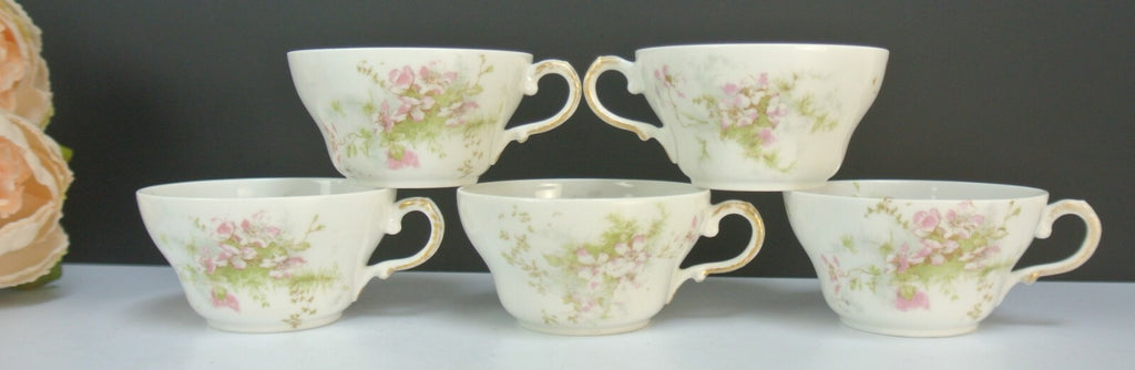 Theodore Haviland Limoges France Set of 5~ Cups No Saucers