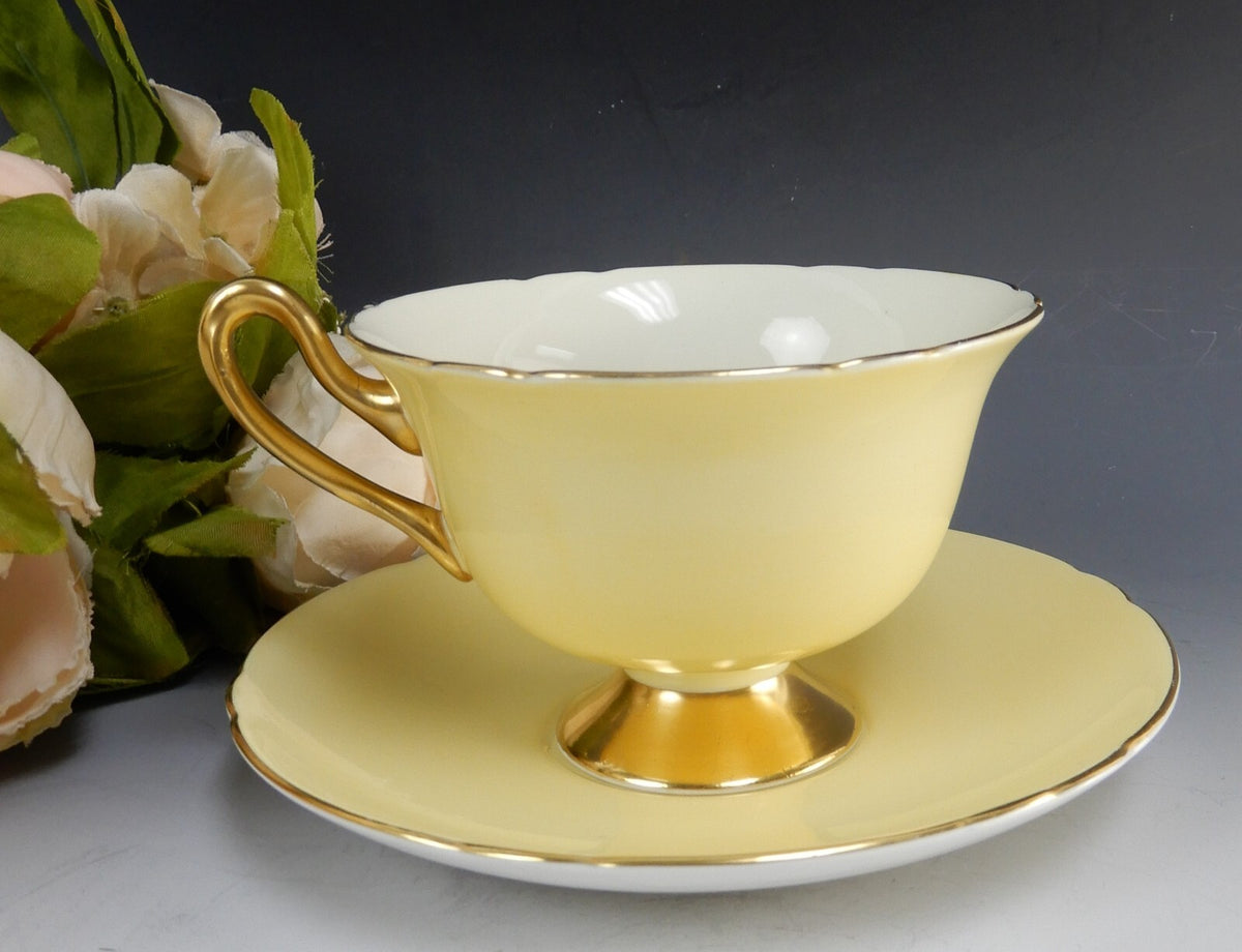 Shelley "Fruit Orchard" Center Yellow Cup & Saucer 13770 English Fine Bone China